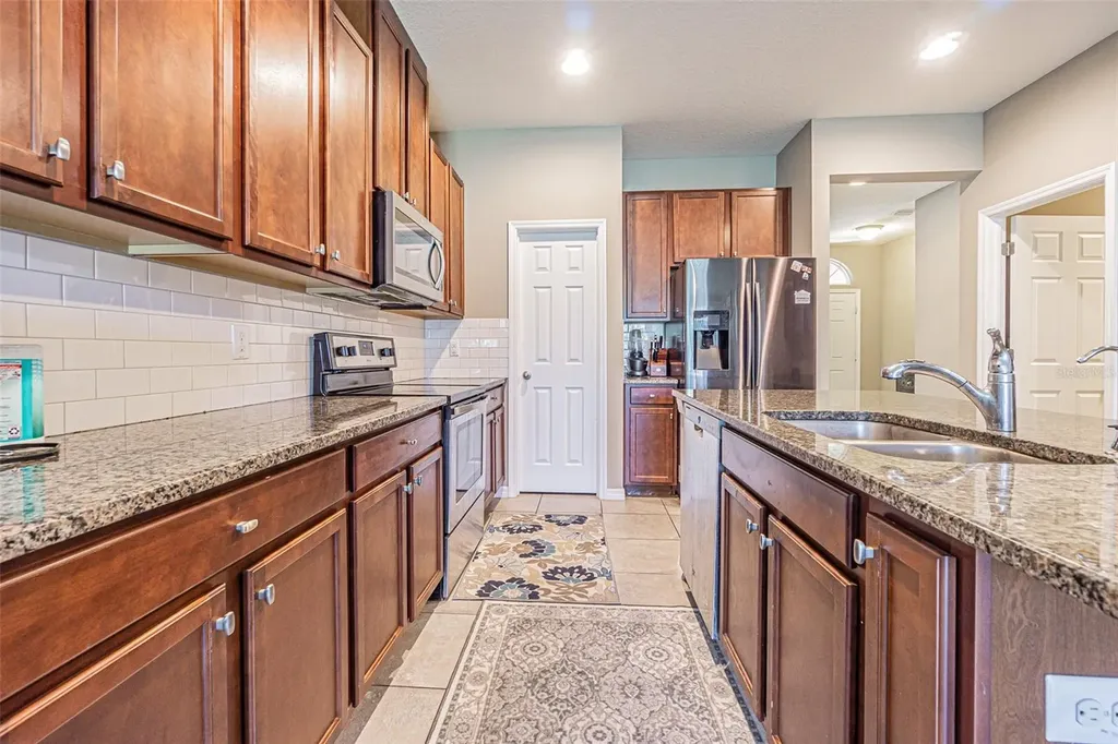 1667 Nature View Drive Lutz FL 33558