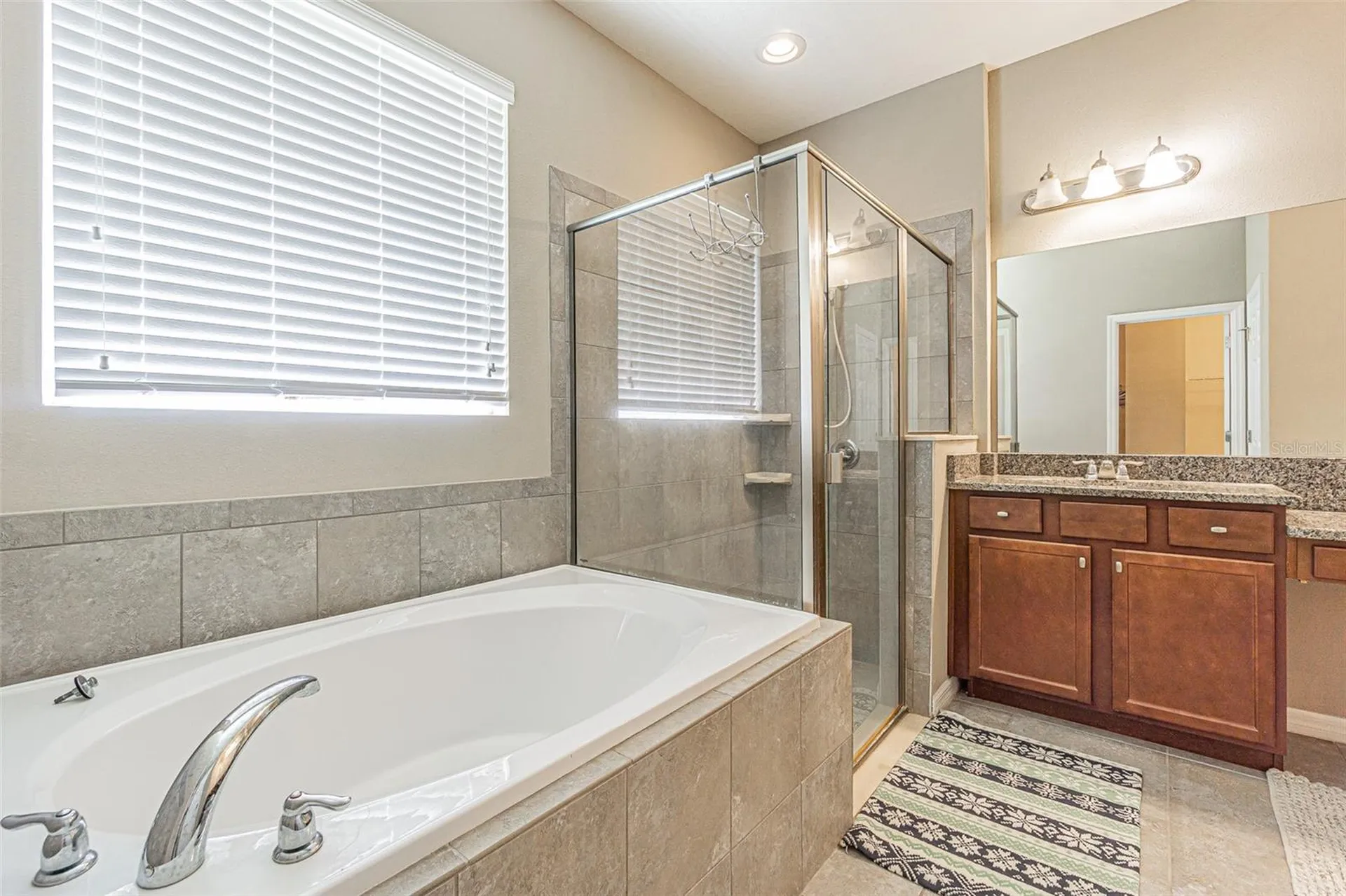 1667 Nature View Drive Lutz FL 33558