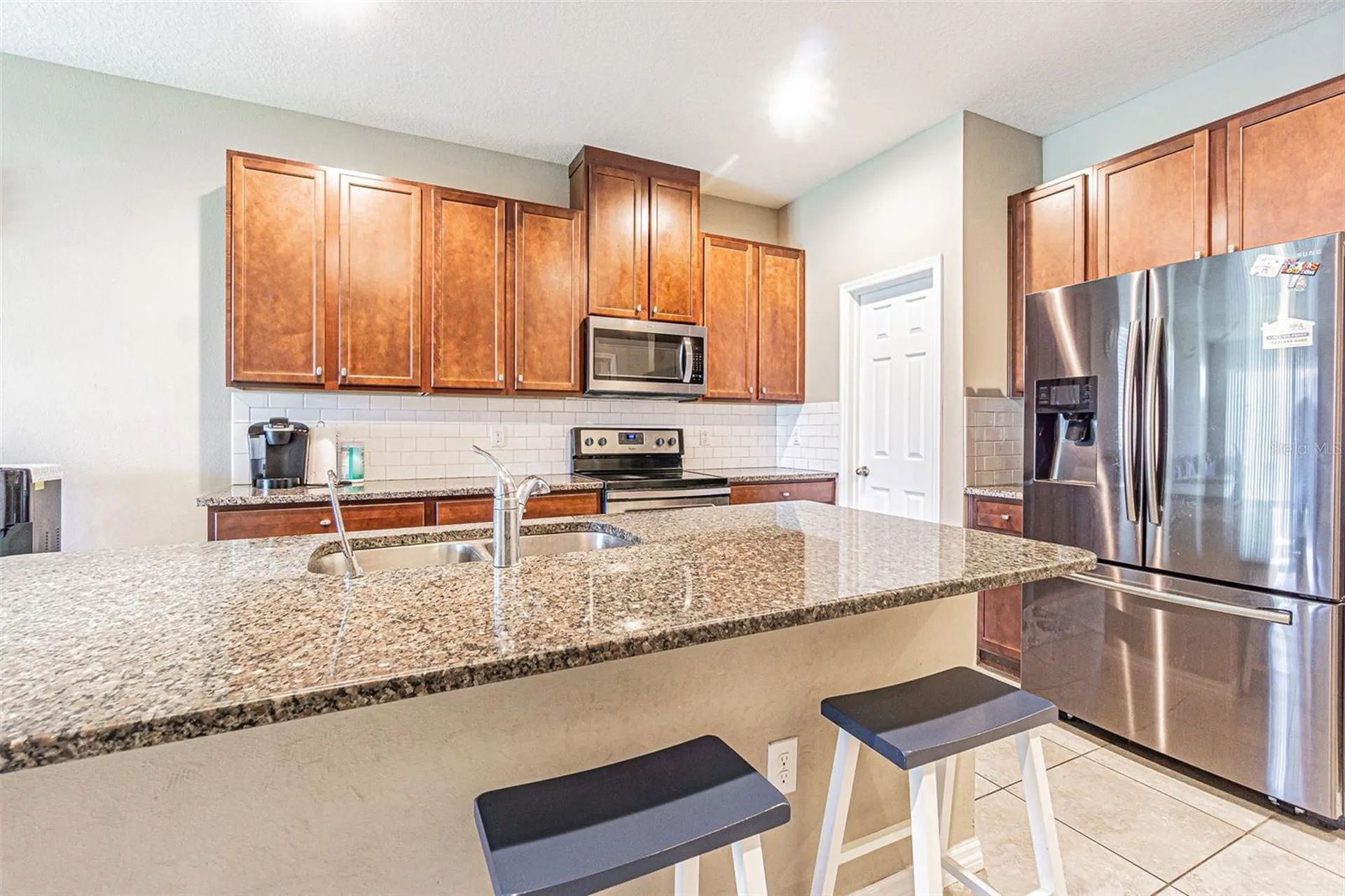 1667 Nature View Drive Lutz FL 33558