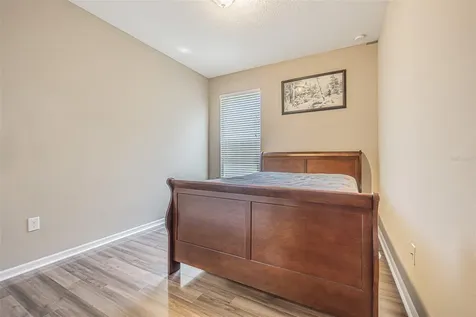 1667 Nature View Drive Lutz FL 33558