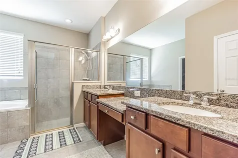 1667 Nature View Drive Lutz FL 33558