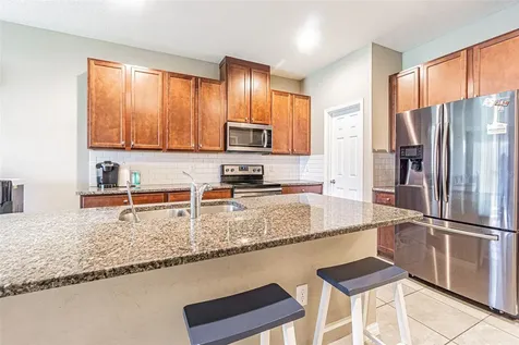 1667 Nature View Drive Lutz FL 33558