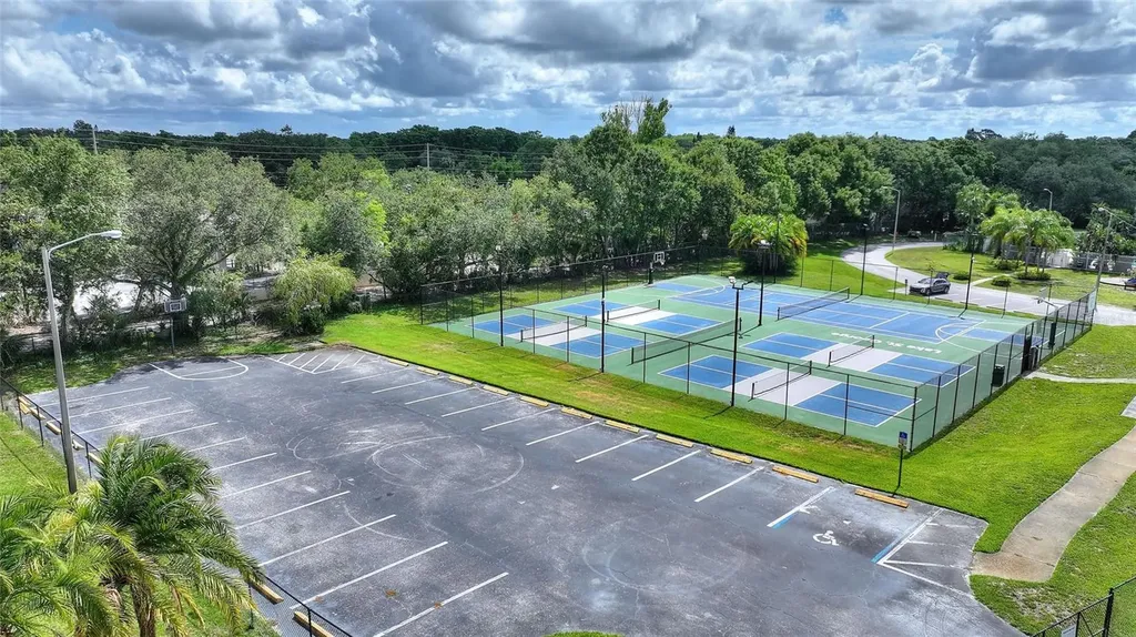 3906 Blooming Hill Lane Palm Harbor FL 34684