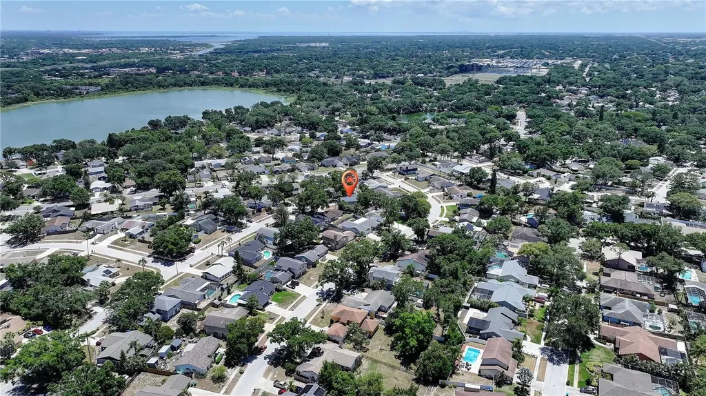 3906 Blooming Hill Lane Palm Harbor FL 34684