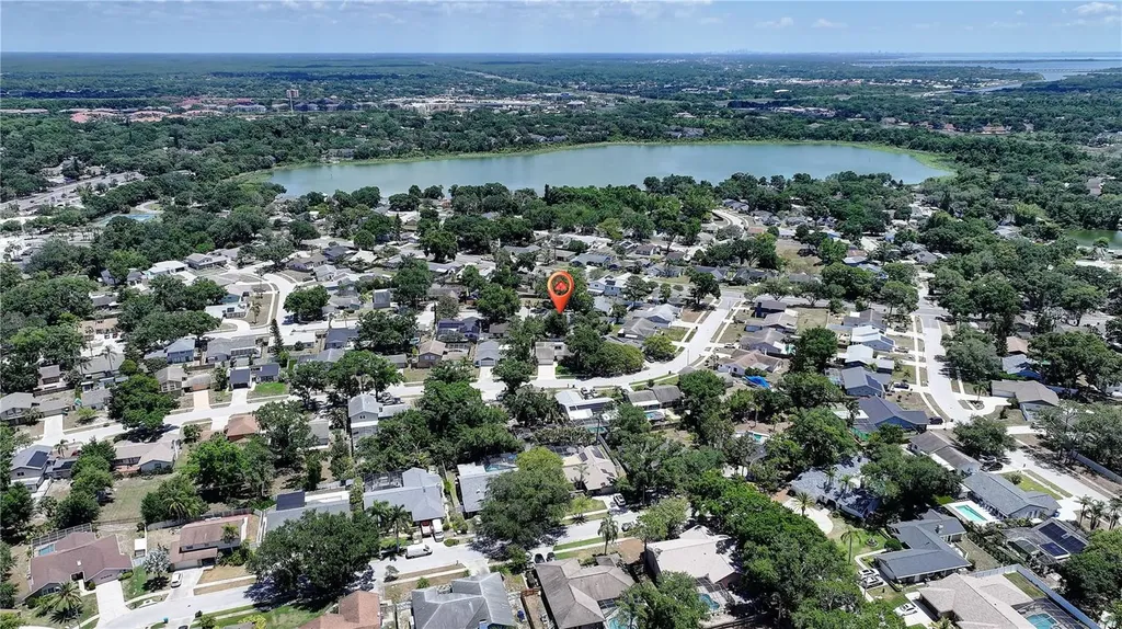 3906 Blooming Hill Lane Palm Harbor FL 34684