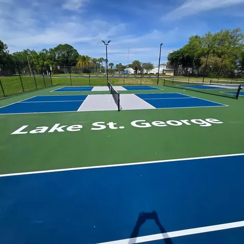 3906 Blooming Hill Lane Palm Harbor FL 34684