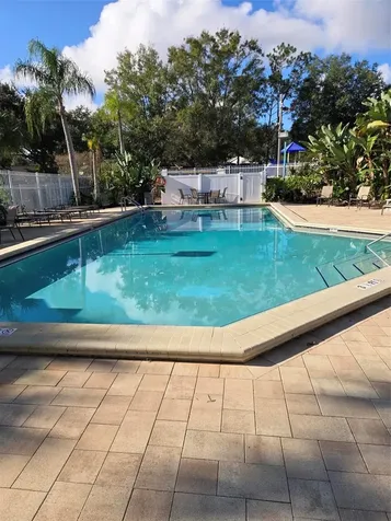 3906 Blooming Hill Lane Palm Harbor FL 34684