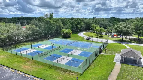 3906 Blooming Hill Lane Palm Harbor FL 34684