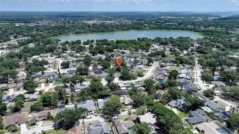 3906 Blooming Hill Lane Palm Harbor FL 34684