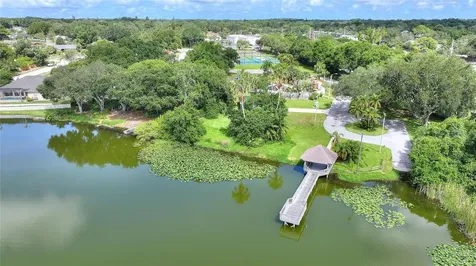 3906 Blooming Hill Lane Palm Harbor FL 34684