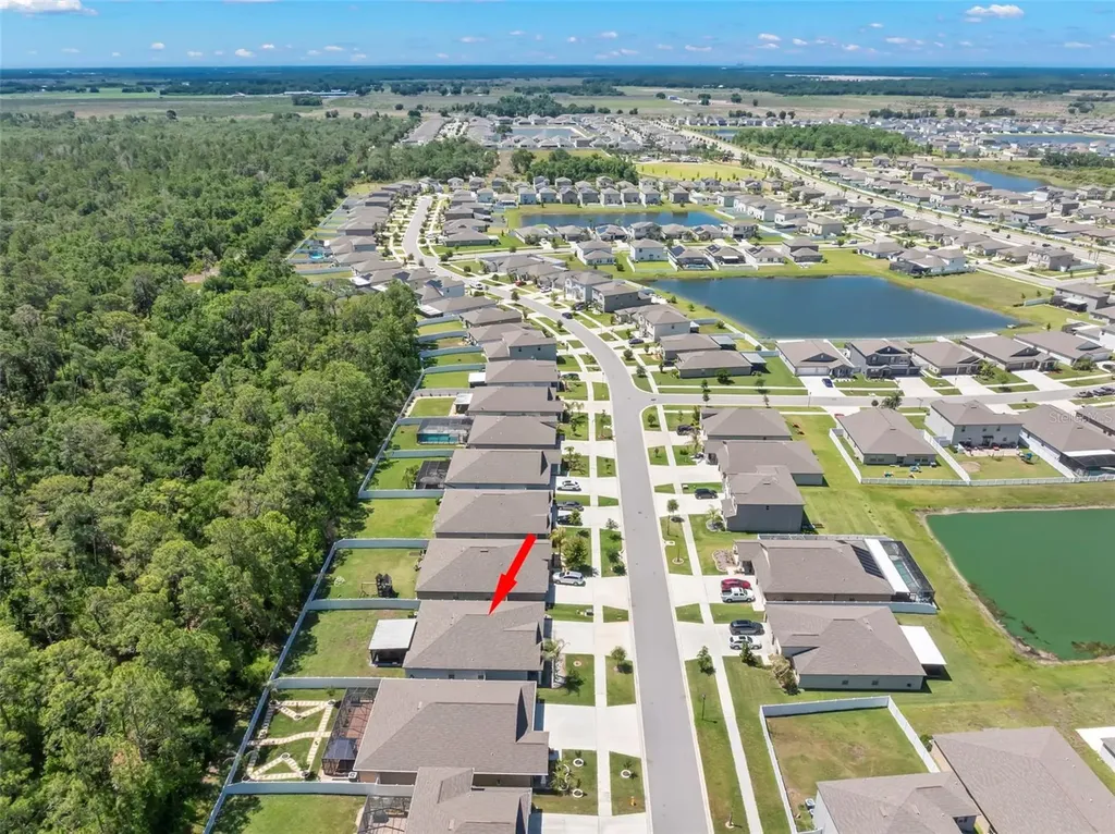 13511 Willow Bluestar Loop Riverview FL 33579