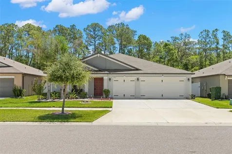 13511 Willow Bluestar Loop Riverview FL 33579