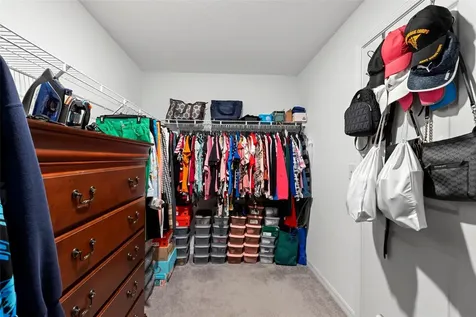 13511 Willow Bluestar Loop Riverview FL 33579