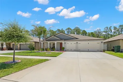 13511 Willow Bluestar Loop Riverview FL 33579