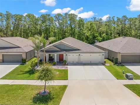 13511 Willow Bluestar Loop Riverview FL 33579