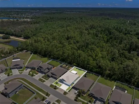13511 Willow Bluestar Loop Riverview FL 33579
