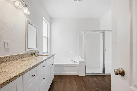 10653 Firebrick Court Trinity FL 34655
