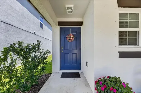 10356 Blue Plume Court Riverview FL 33578