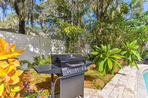 414 Joyce Avenue Temple Terrace FL 33617