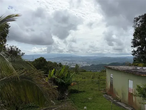 #21 Platino Street Villas De Oro Dev. Caguas PR 00725