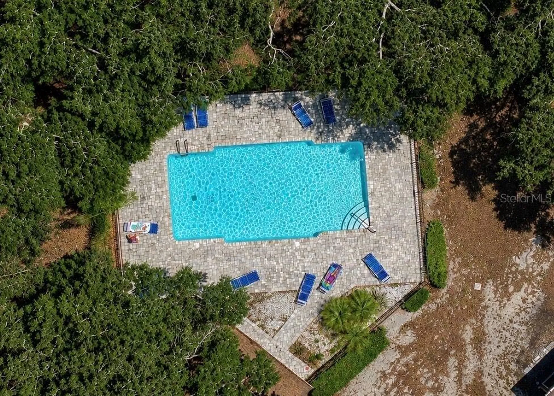 2316 Fletchers Point Circle Tampa FL 33613