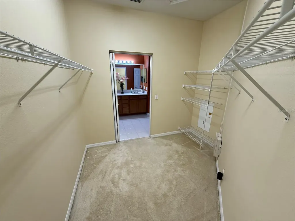3356 Zack Drive Dunedin FL 34698