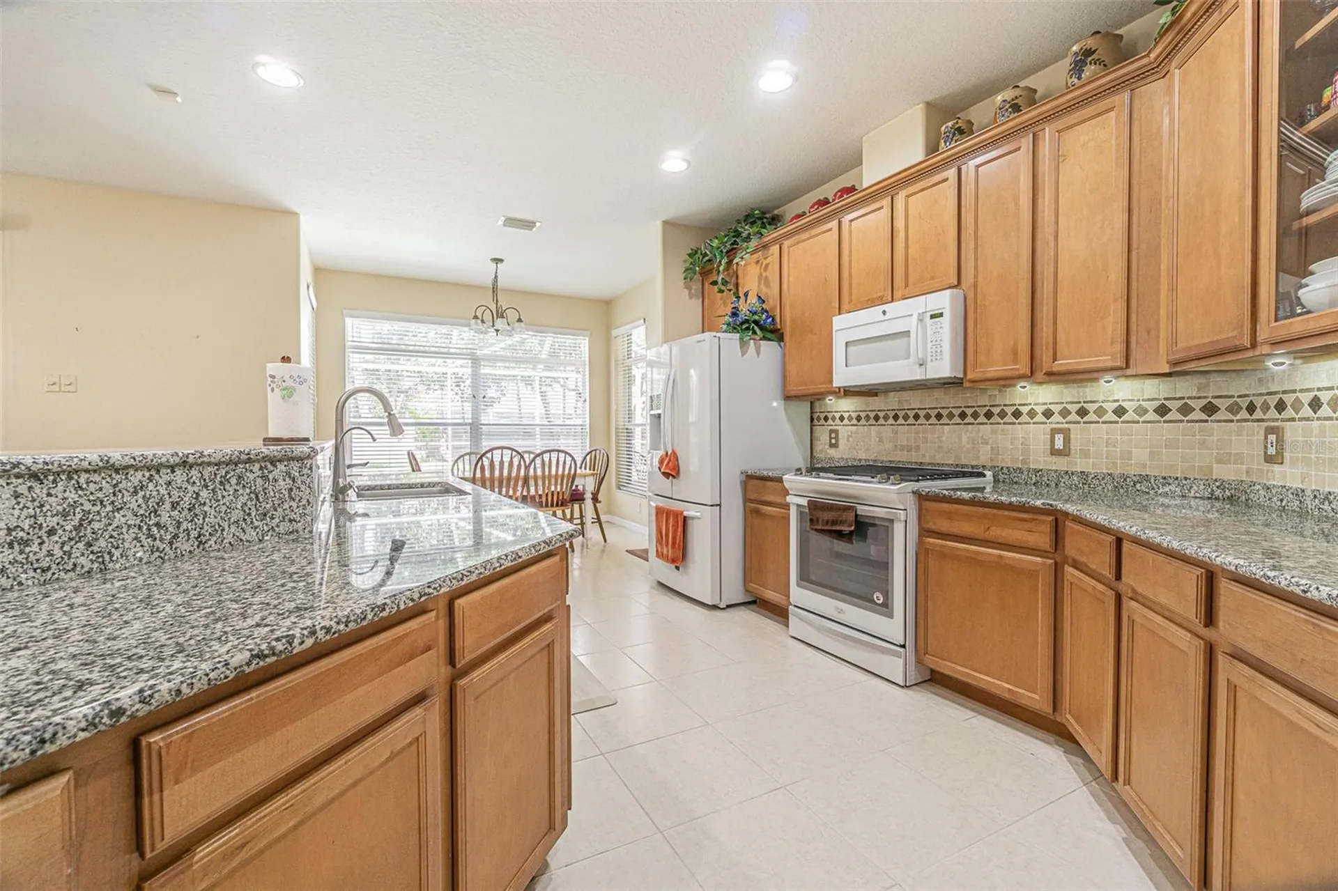 3356 Zack Drive Dunedin FL 34698
