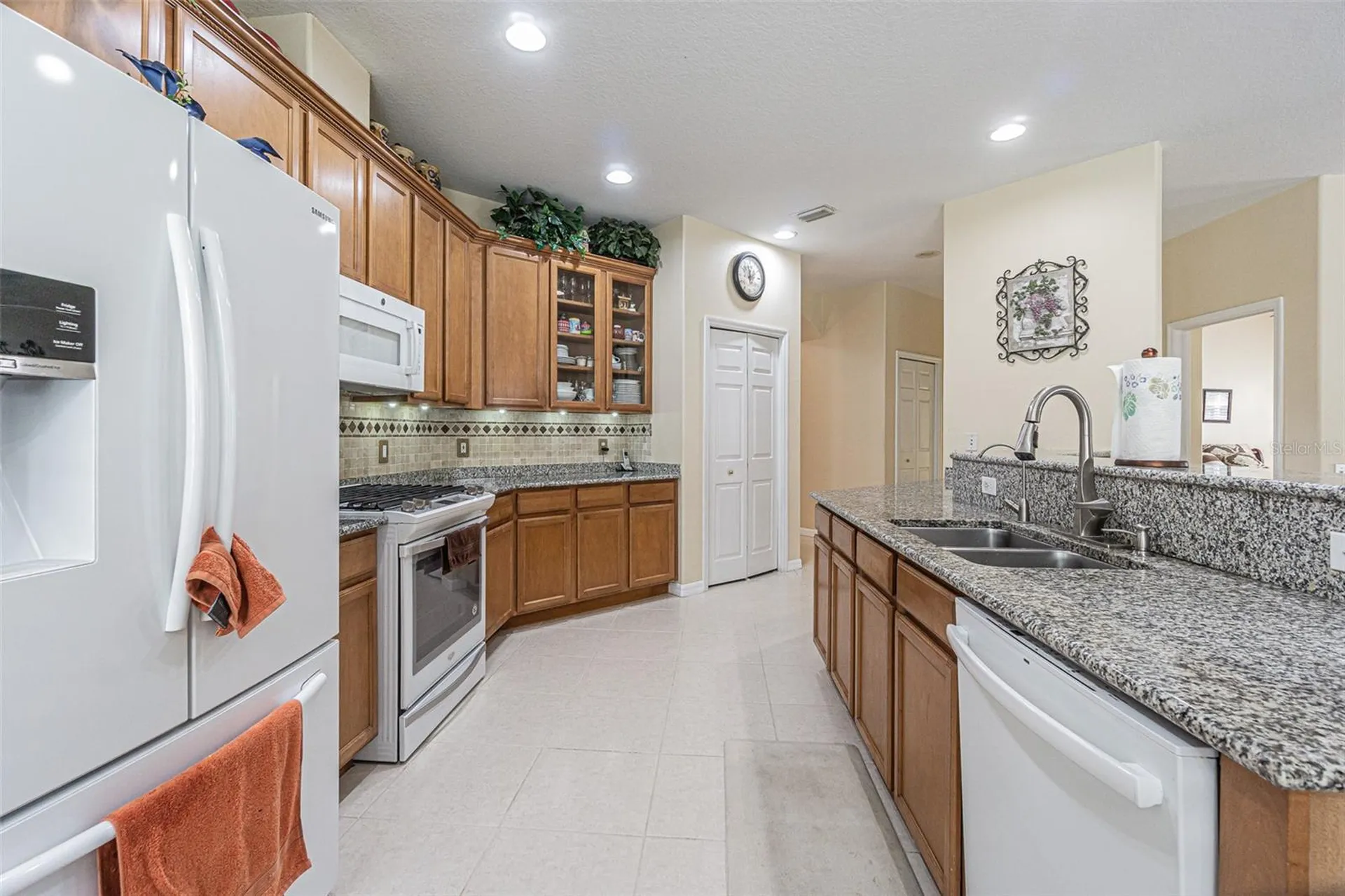 3356 Zack Drive Dunedin FL 34698
