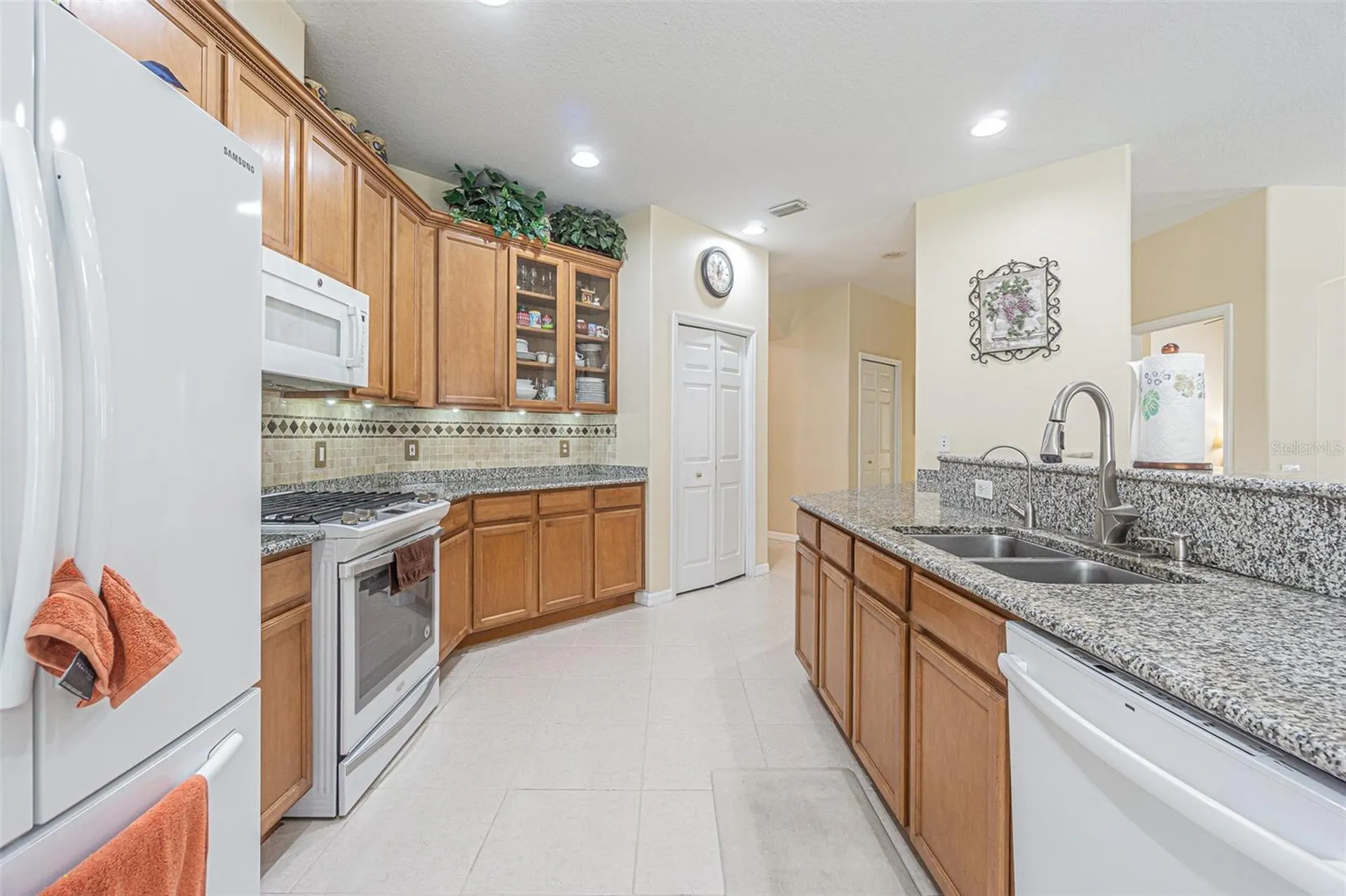3356 Zack Drive Dunedin FL 34698