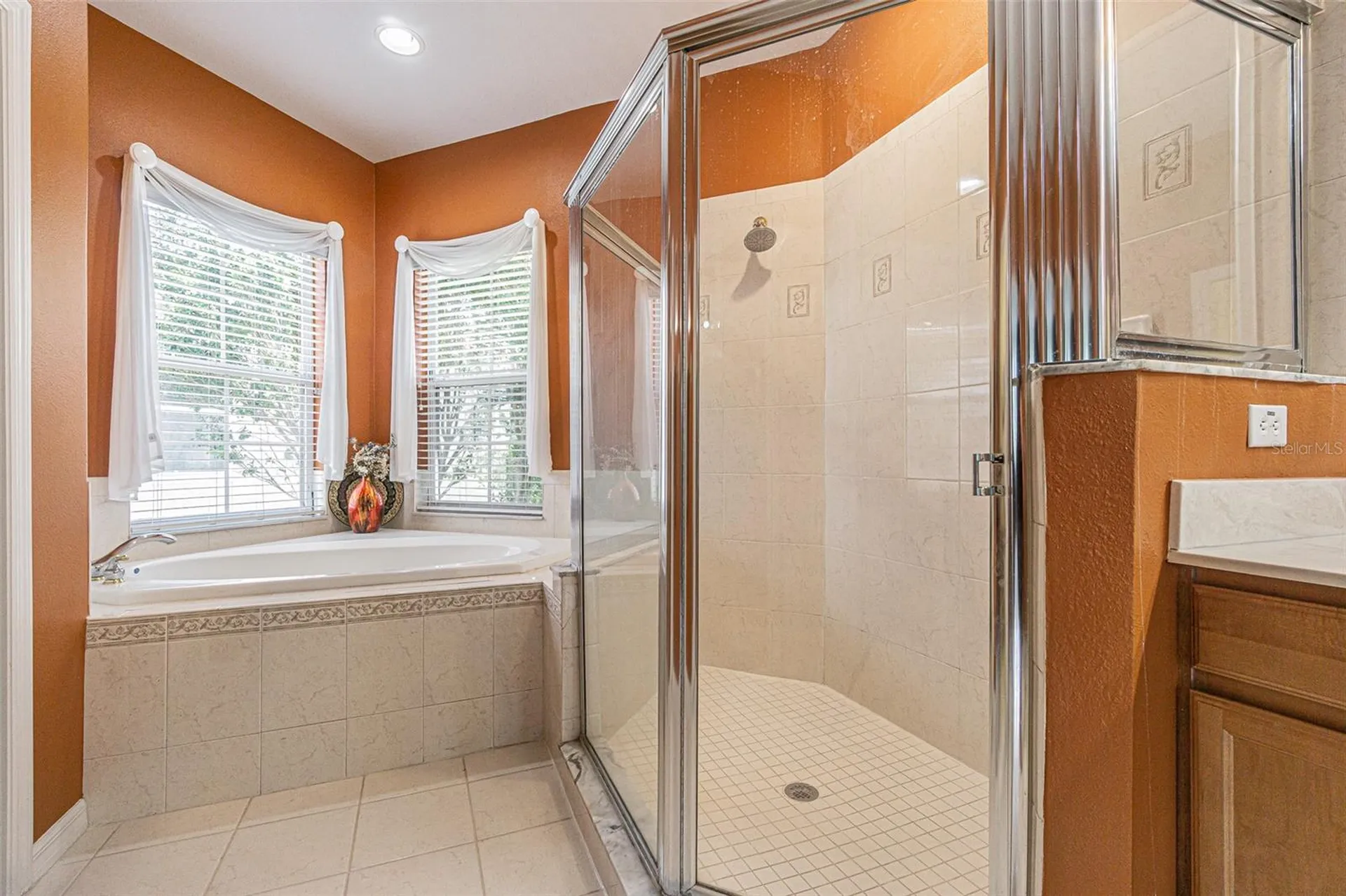 3356 Zack Drive Dunedin FL 34698