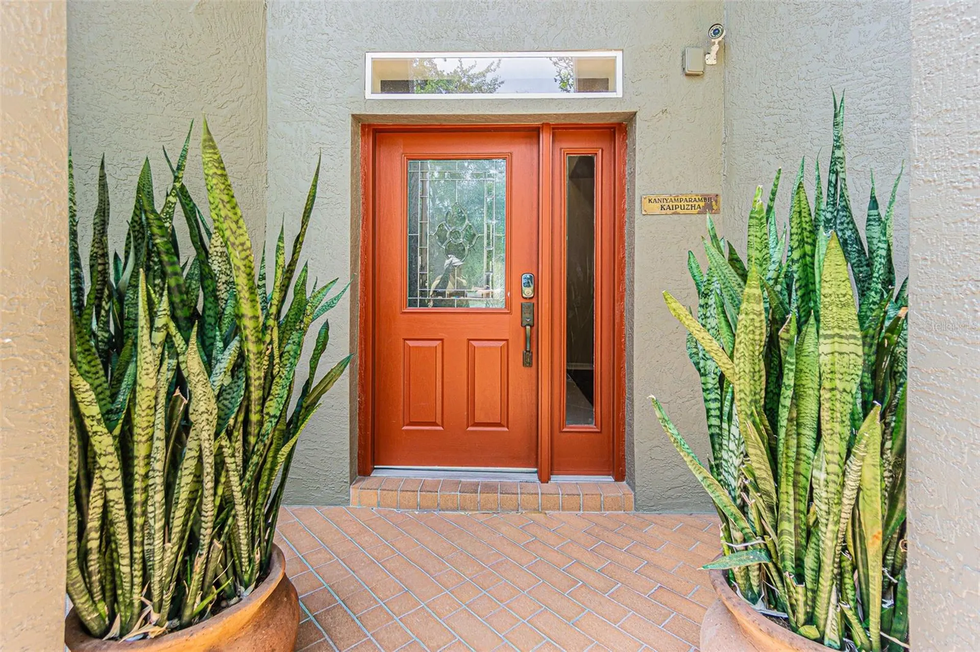 3356 Zack Drive Dunedin FL 34698