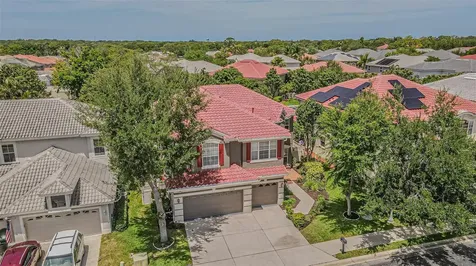 3356 Zack Drive Dunedin FL 34698