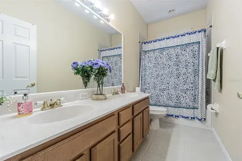 3356 Zack Drive Dunedin FL 34698