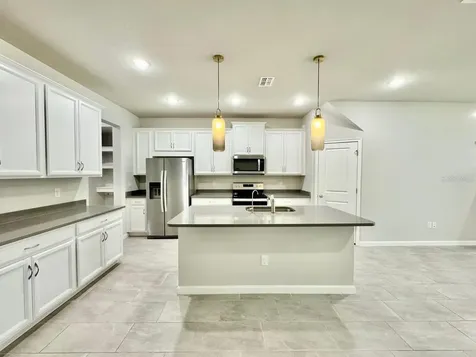 8509 Primrose Willow Place Odessa FL 33556
