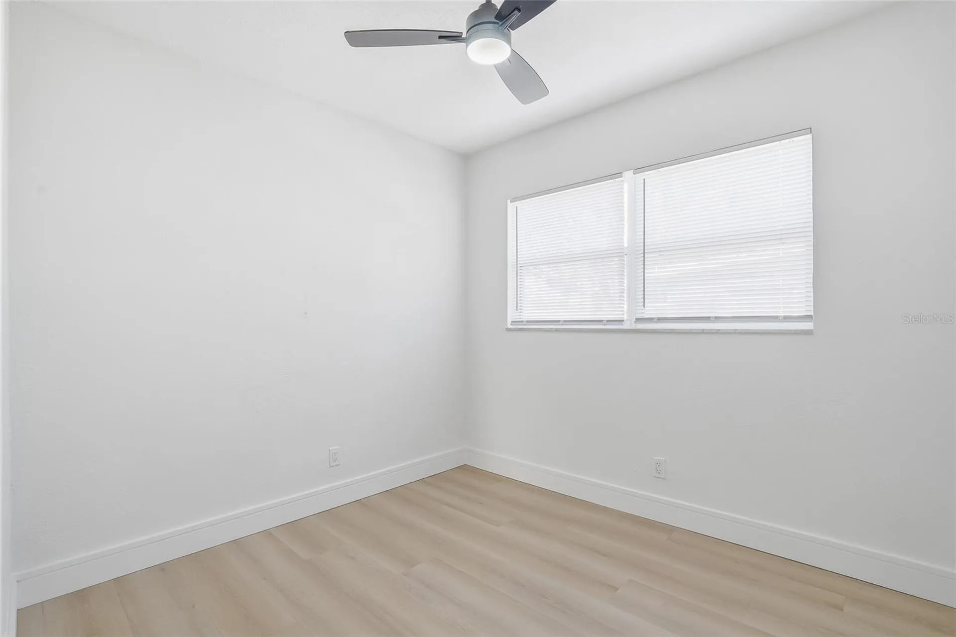 3005 W Saint Conrad Street Tampa FL 33607
