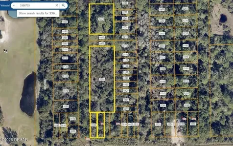 728 Osteen Maytown Road Osteen FL 32764