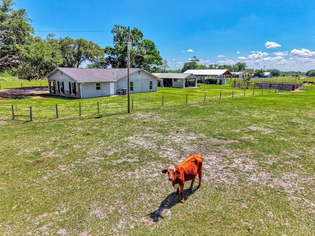 10433 SW Jernigan Street Arcadia FL 34269