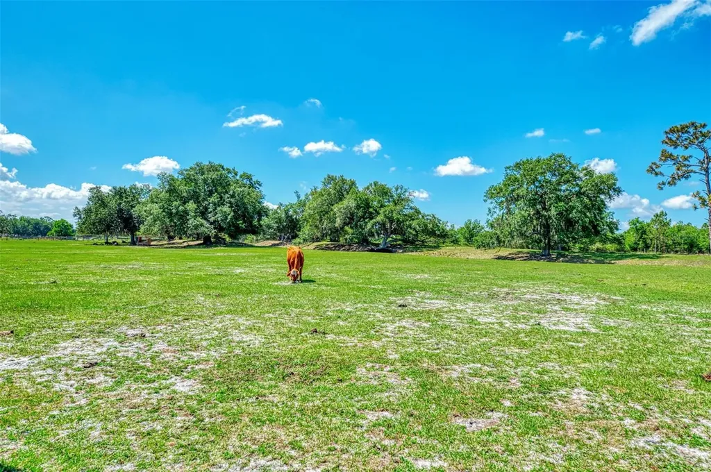 10433 SW Jernigan Street Arcadia FL 34269