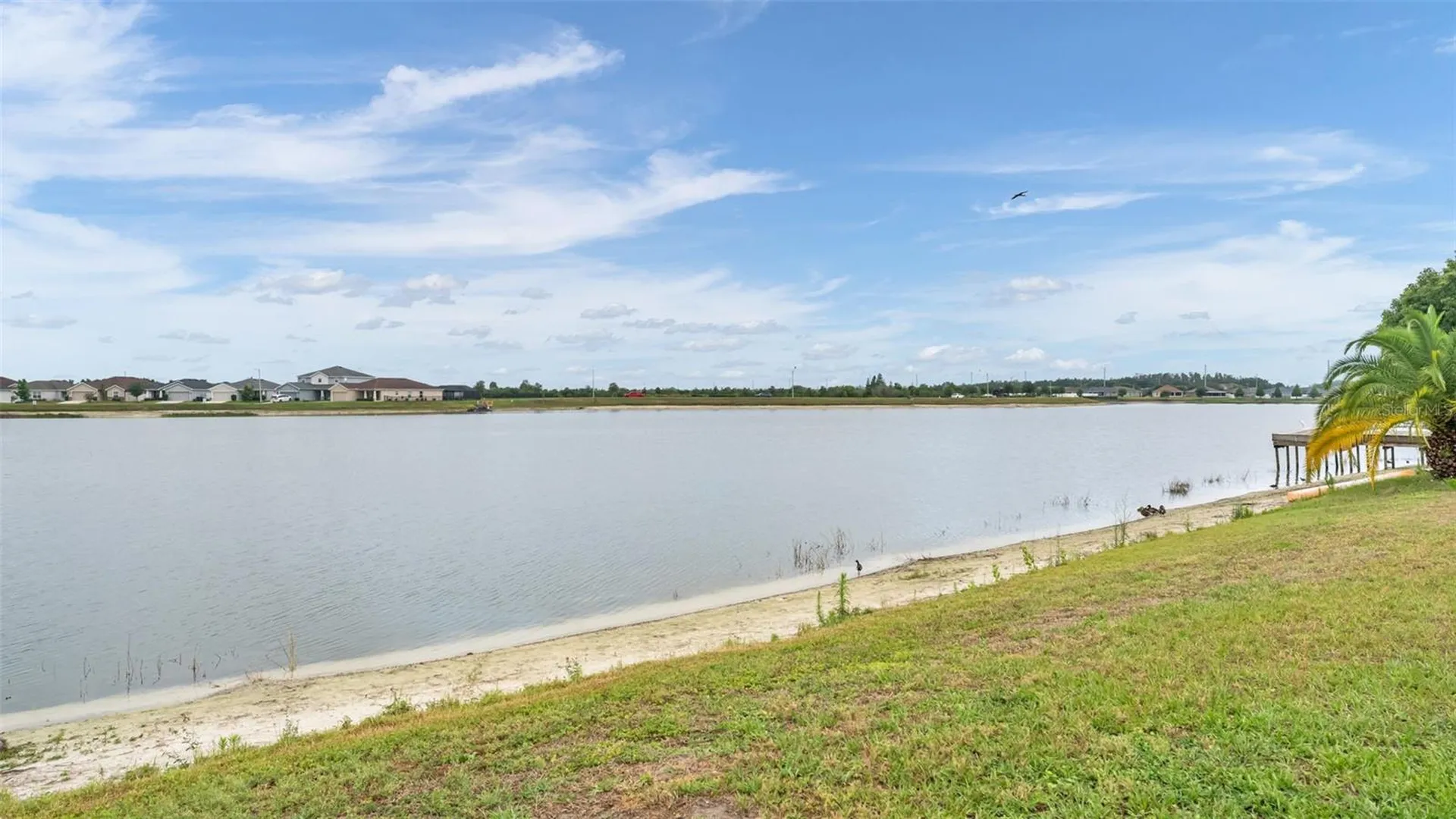 5223 White Egret Lane Lakeland FL 33811
