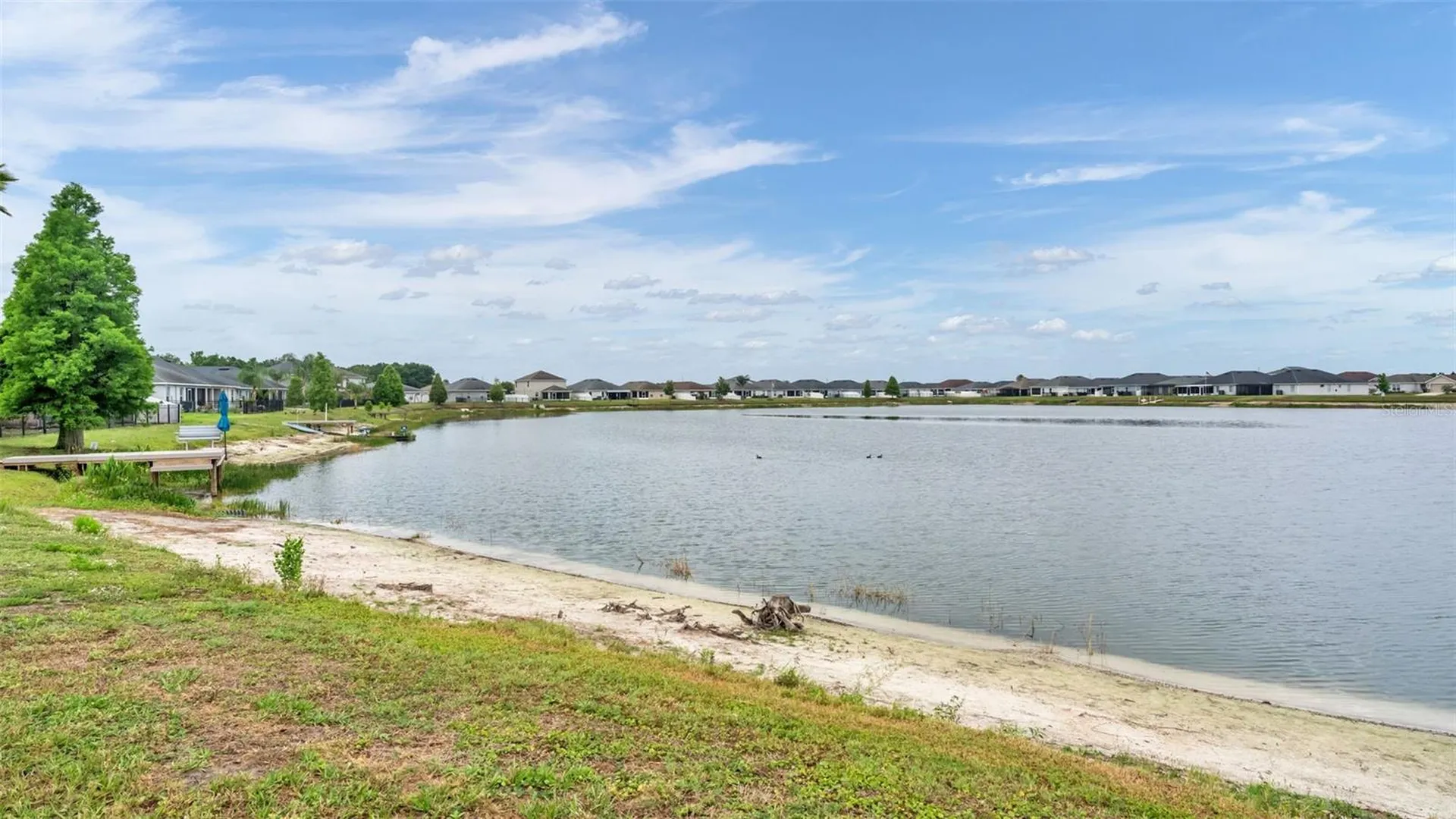 5223 White Egret Lane Lakeland FL 33811