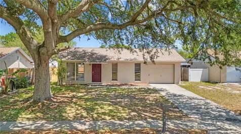7503 Culver Lane New Port Richey FL 34655
