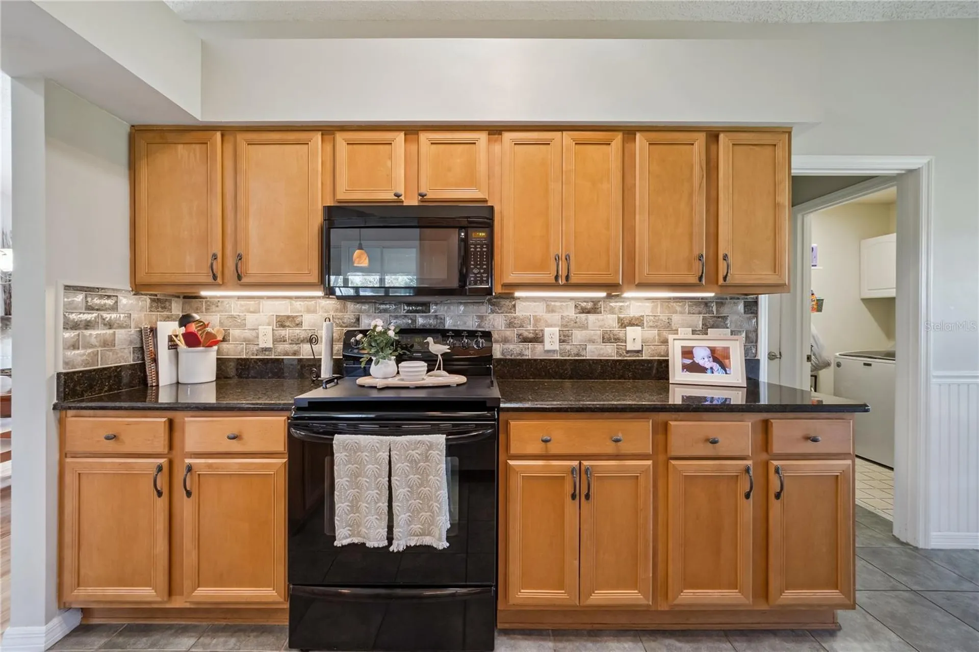 4730 Sawgrass Lake Circle Leesburg FL 34748