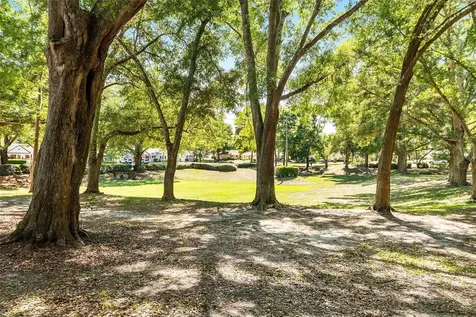 8560 SW 93rd Lane Ocala FL 34481