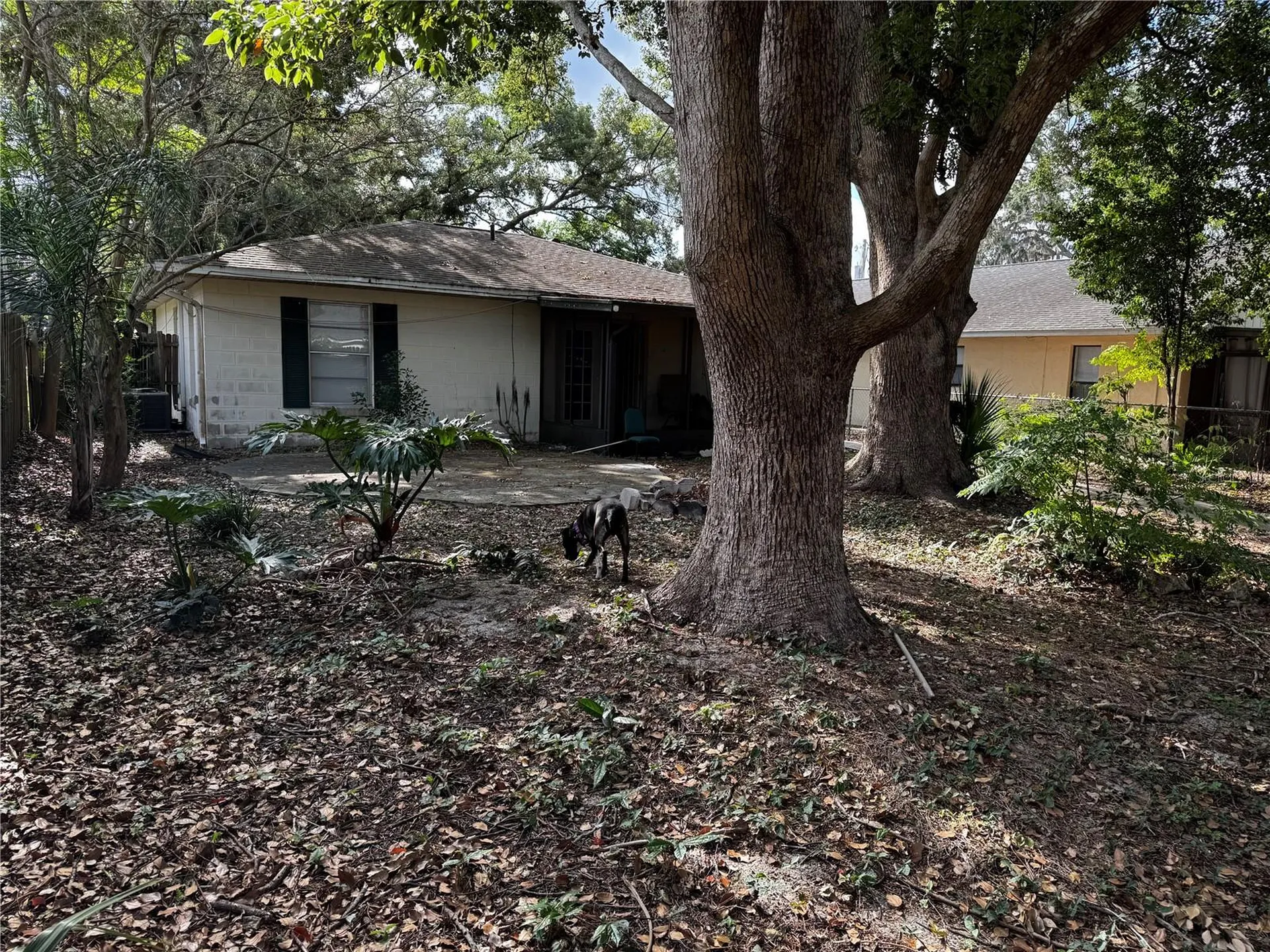 205 Pinecrest Road Mount Dora FL 32757