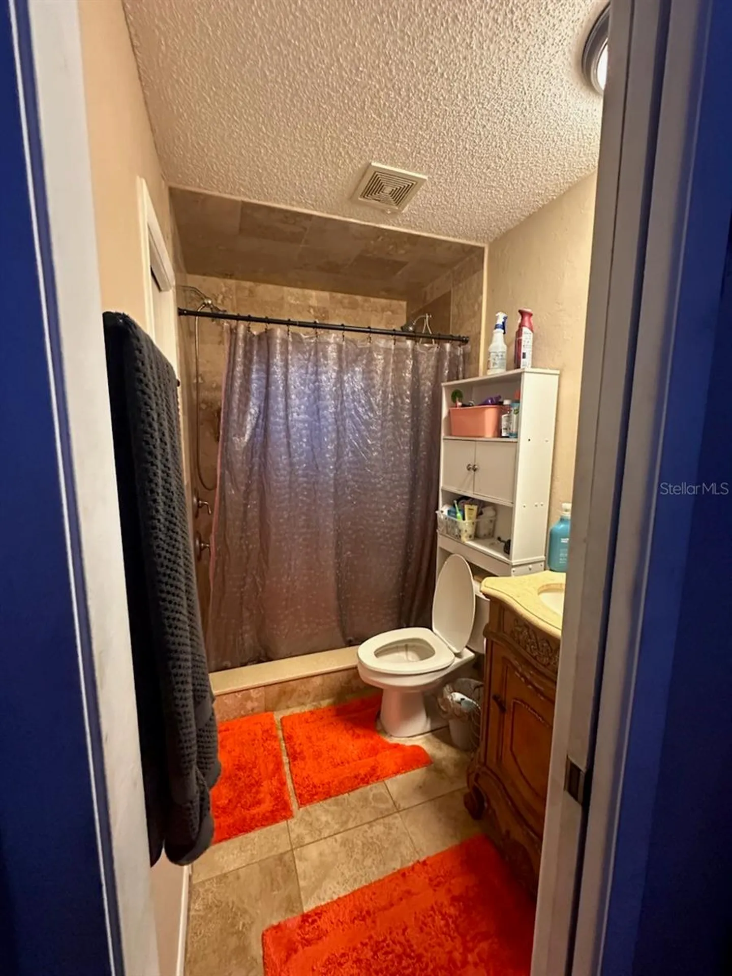 205 Pinecrest Road Mount Dora FL 32757