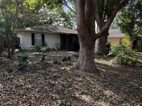 205 Pinecrest Road Mount Dora FL 32757