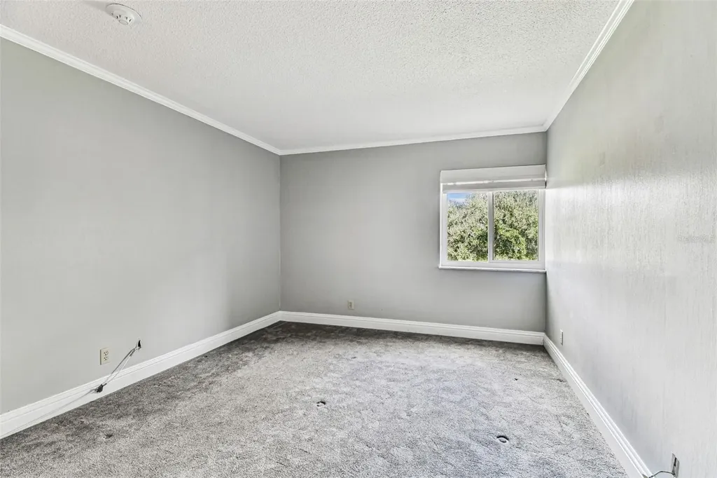 36750 Us Highway 19 N Palm Harbor FL 34684