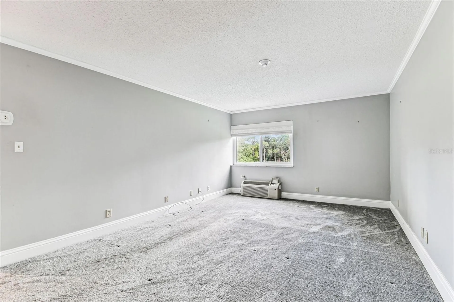 36750 Us Highway 19 N Palm Harbor FL 34684