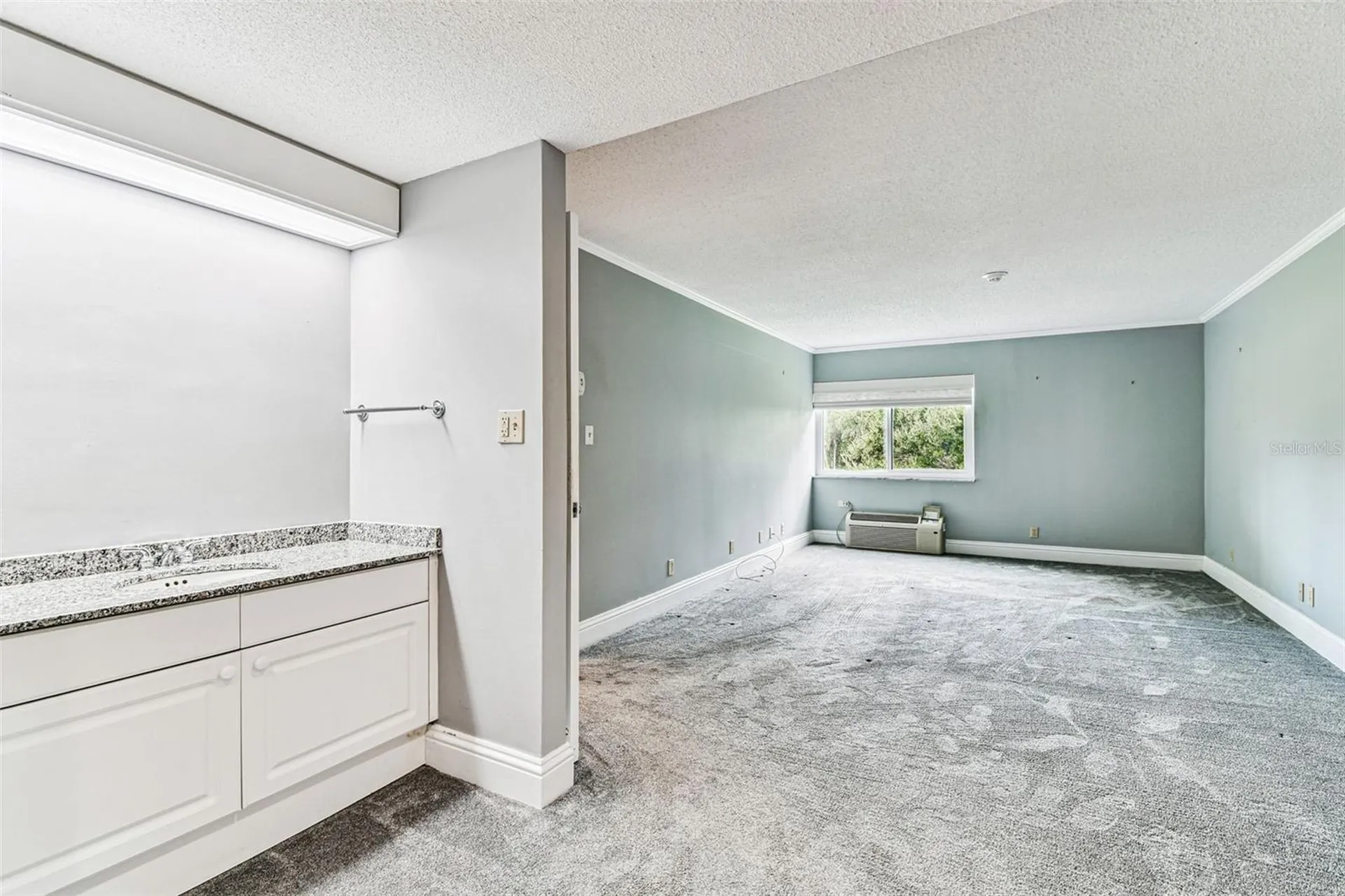 36750 Us Highway 19 N Palm Harbor FL 34684