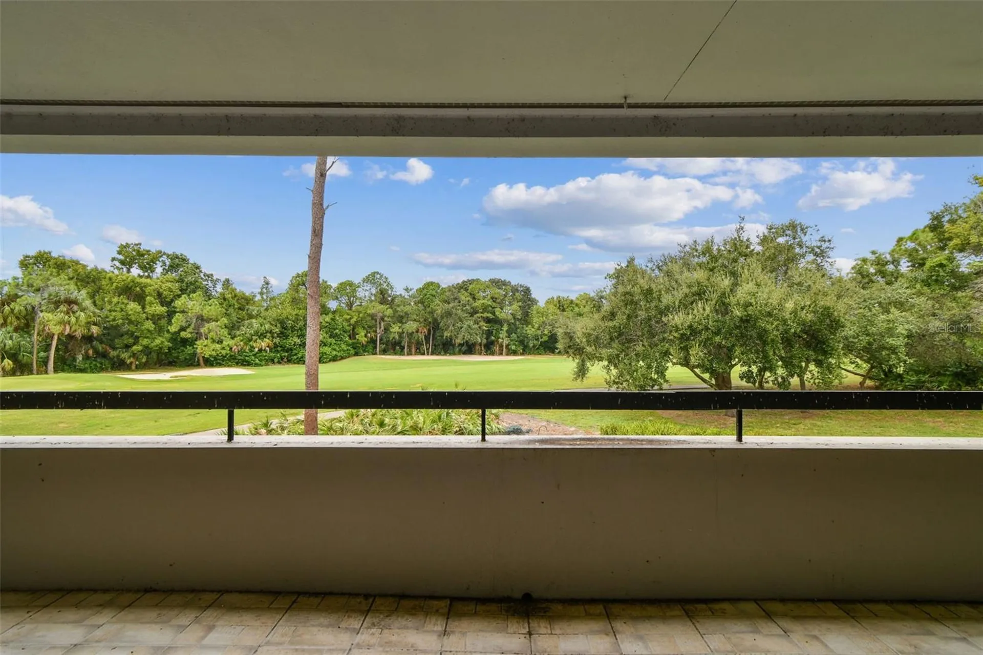 36750 Us Highway 19 N Palm Harbor FL 34684